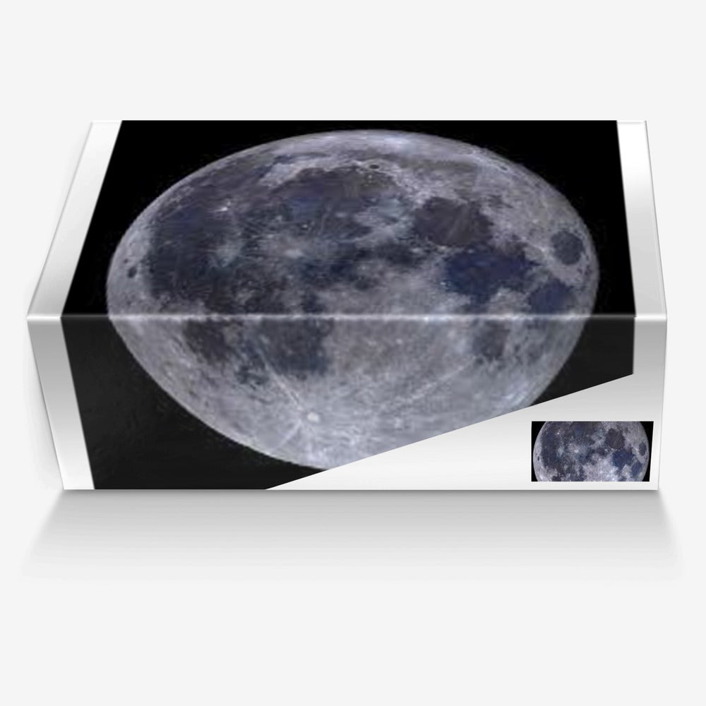 Back on the Moon 2024! Tennis Shoes by Zebra