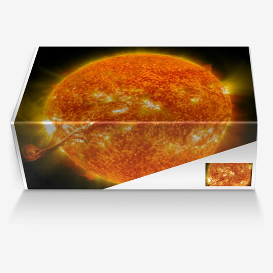 The SUN! Oui Love You! Tennis Shoes by Zebra